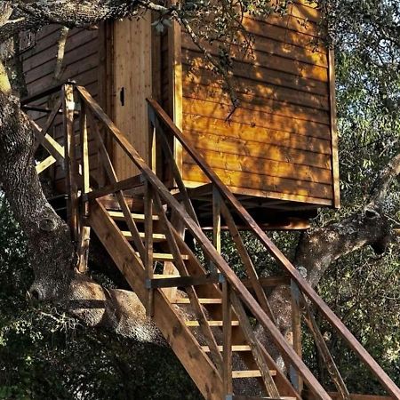 Cabana Del Arbol Lavagarural Villanueva del Rosario Zewnętrze zdjęcie