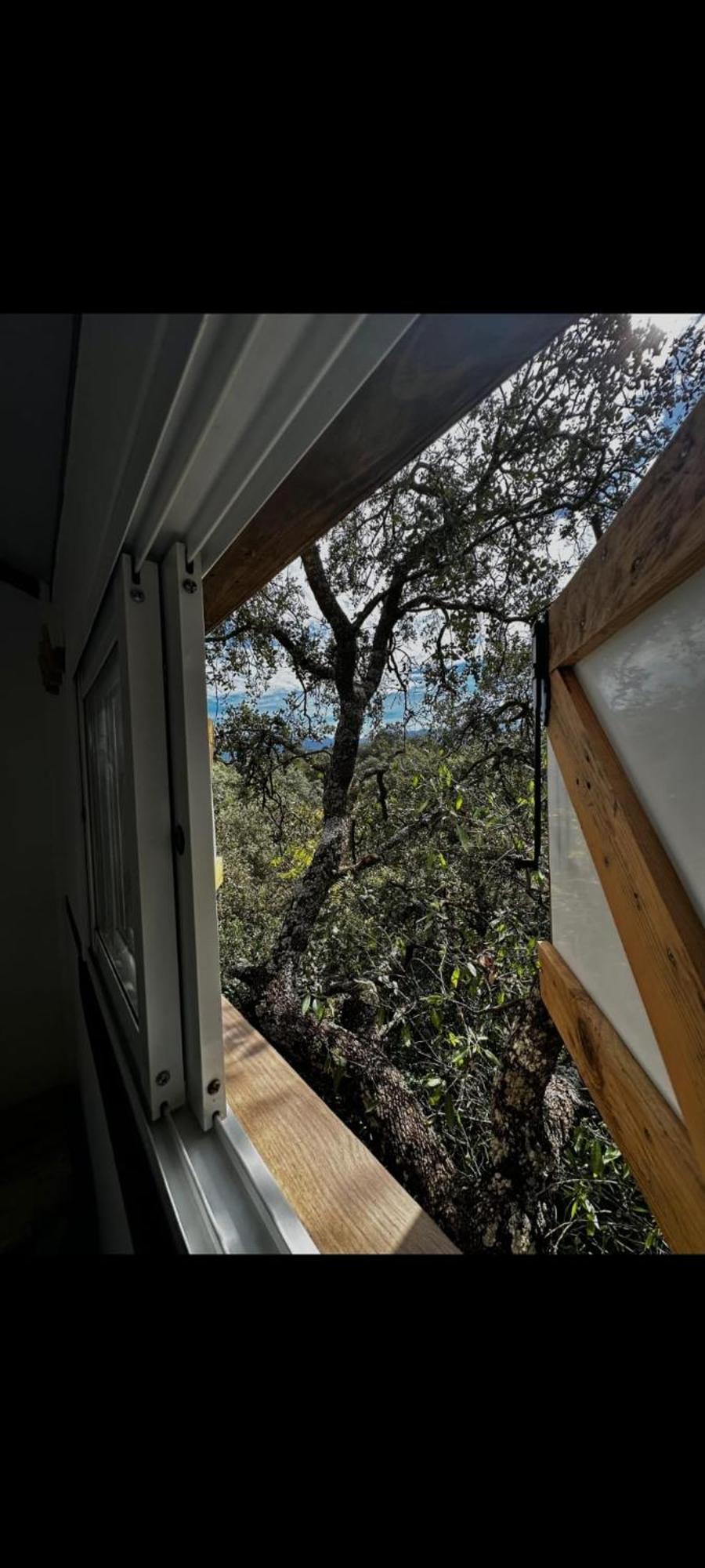 Cabana Del Arbol Lavagarural Villanueva del Rosario Zewnętrze zdjęcie